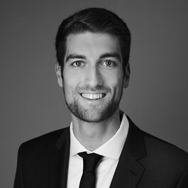 Pascal Dorn, Consultant